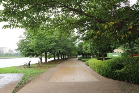 周辺環境　石川島公園 徒歩6分。 430m