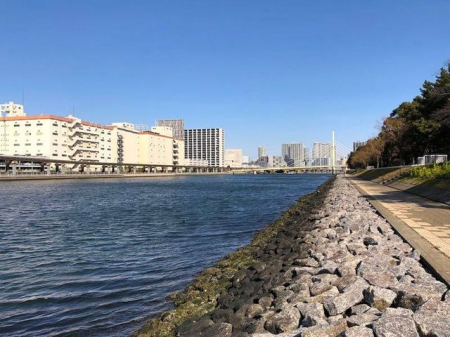 周辺環境　京浜運河緑道公園 徒歩5分。 340m