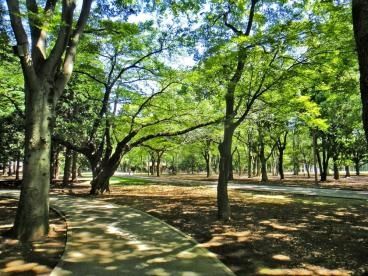 周辺環境　東京都立代々木公園 徒歩21分。 1660m