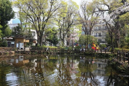 周辺環境　渋谷区立鍋島松濤公園 徒歩9分。 690m