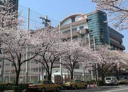 ӊ@旧CwZ k7B 520m