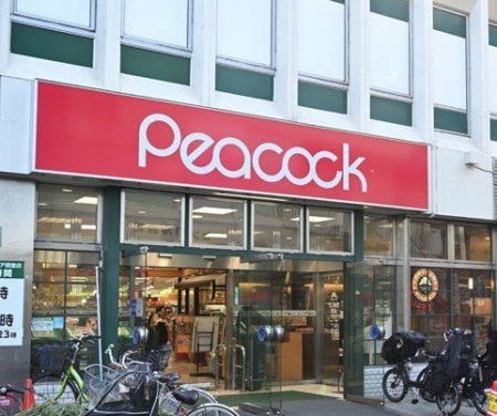 ���ӊ��@�s�[�R�b�N�X�g�A�O�������̓m�X �k��10���B 760m