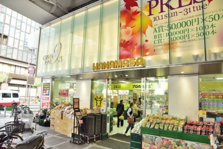 ���ӊ��@���̃n�i�}�T����X �k��6���B 410m