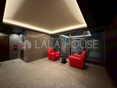 ���̑��@���낰�郍�r�[