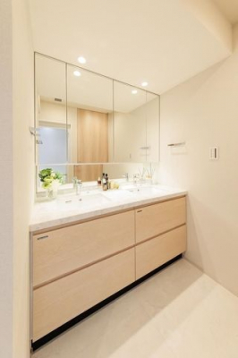 ���ʑ�E���ʏ��@-