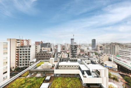 ���̑��@����ɍ����������Ȃ��J���I�Ȓ��]�ł��B