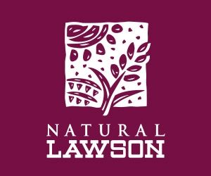 ���ӊ��@�i�`�������n�E�X�R�X �k��9���B 650m