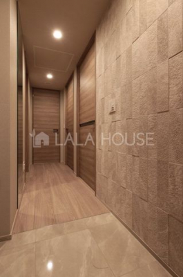 ���ց@���C�g�O���[�̗D�����F�����̌��փX�y�[�X