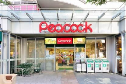 ���ӊ��@�s�[�R�b�N�X�g�A�g���i�[�����{���l���X �k��7���B 490m