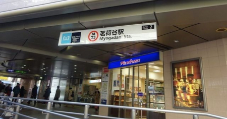 ���ӊ��@䪉גJ�w(�������g�� �ۃm����) �k��11���B 860m