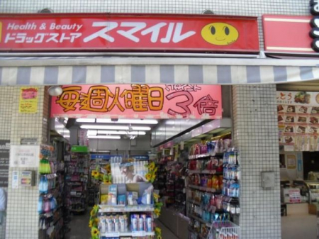 ���ӊ��@�h���b�O�X�g�A�X�}�C�����z�X �k��2���B 110m