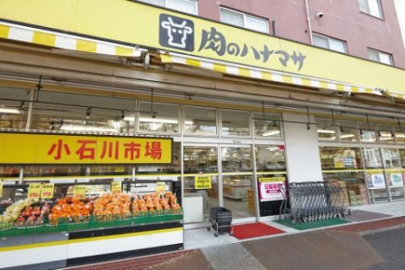 ���ӊ��@���̃n�i�}�T���ΐ�X �k��9���B 650m