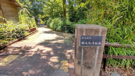 周辺環境　渋谷区立鍋島松濤公園 徒歩8分。 610m
